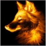 SaltyFox Profil